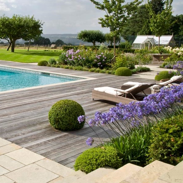 Architectural Plants Architectural Plants UK